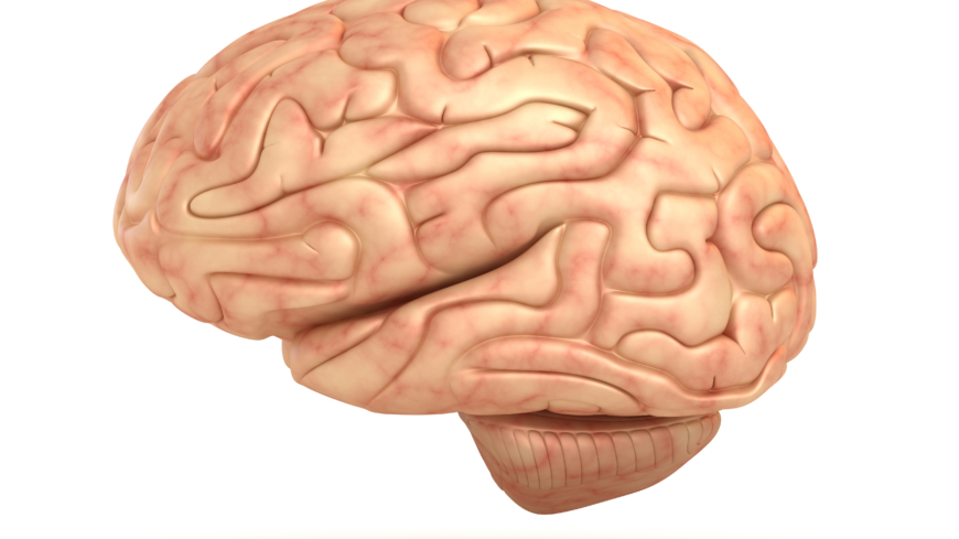 En hjernerystelse kommer av slag mot hodet og kan gi opphav til et illebefinnende. 