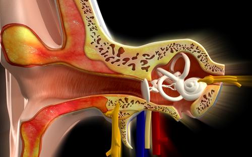 Ménières sykdom er en lidelse i det indre øret som blant annet fører til nedsatt hørselevne.  Foto: Shutterstock