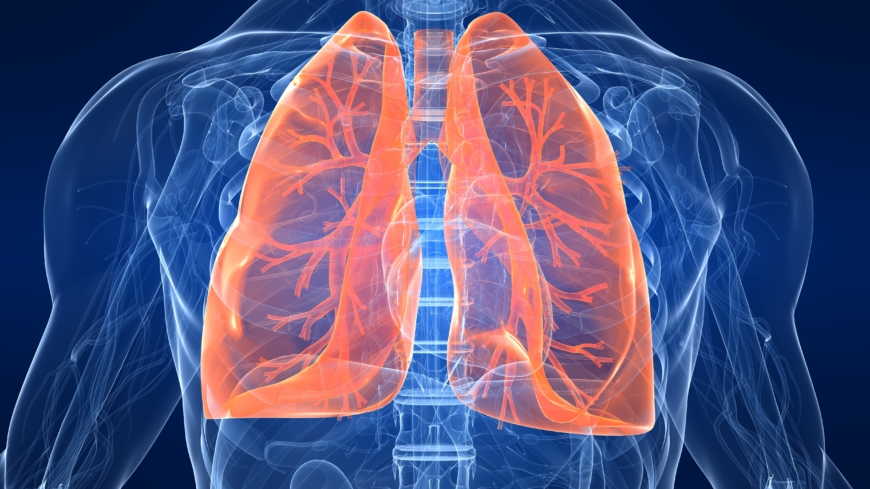 Diagnosen lungefibrose stilles gjennom et «detektivarbeid» og utelukkelsesmetoden.  Foto: Shutterstock