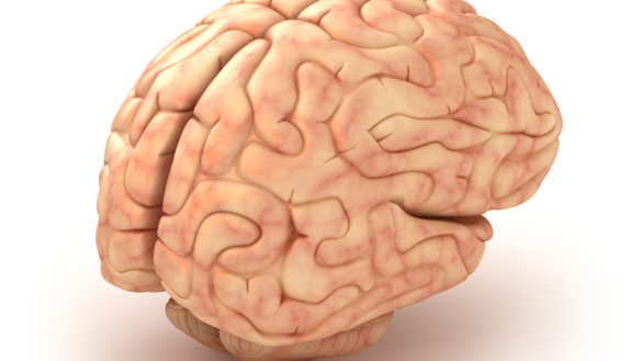 Hjernehinnebetennelse (meningitt)